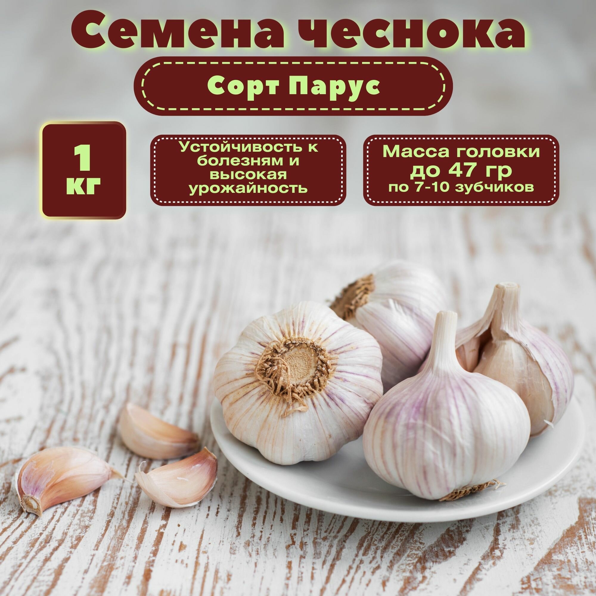 Чеснок на посадку. Сорт "Парус" 1 кг. Высокая урожайность, отличный вкус, устойчивость к заболеваниям, простота в уходе и хорошая лежкость. Славится устойчивостью к неблагоприятным условиям.