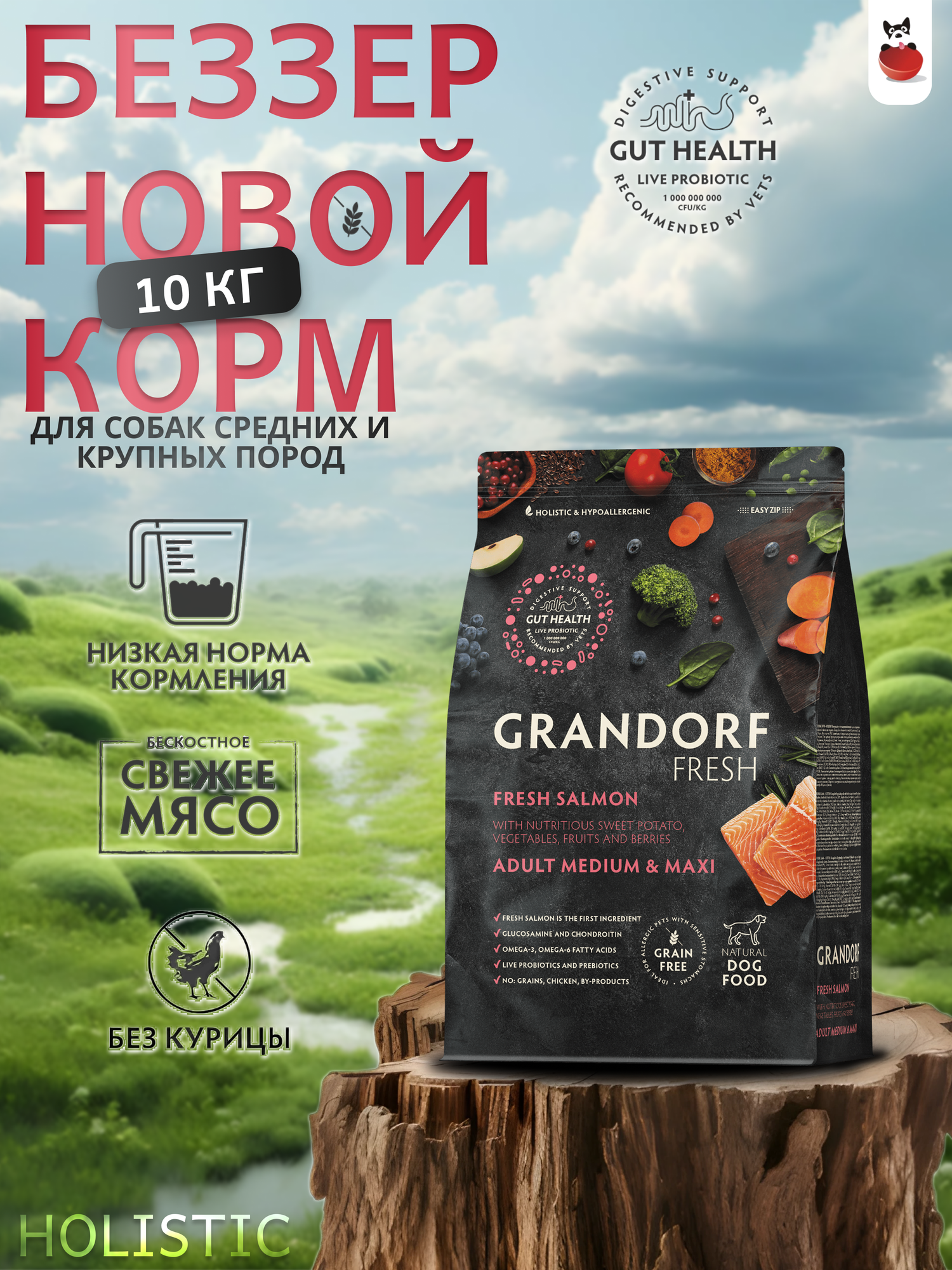 Сухой корм для собак Grandorf Fresh средние крупные породы с лососем 10кг