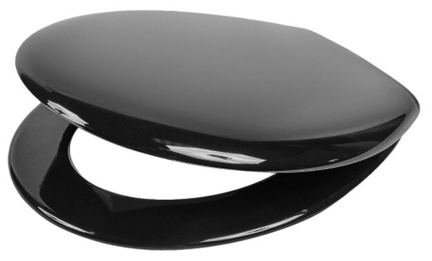 фото Сиденье для унитаза, цвет чёрный
