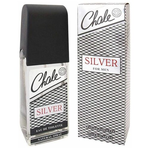 Парфюмированный дезодорант Chale Silver 100 мл парфюмированный дезодорант chale silver 100 мл
