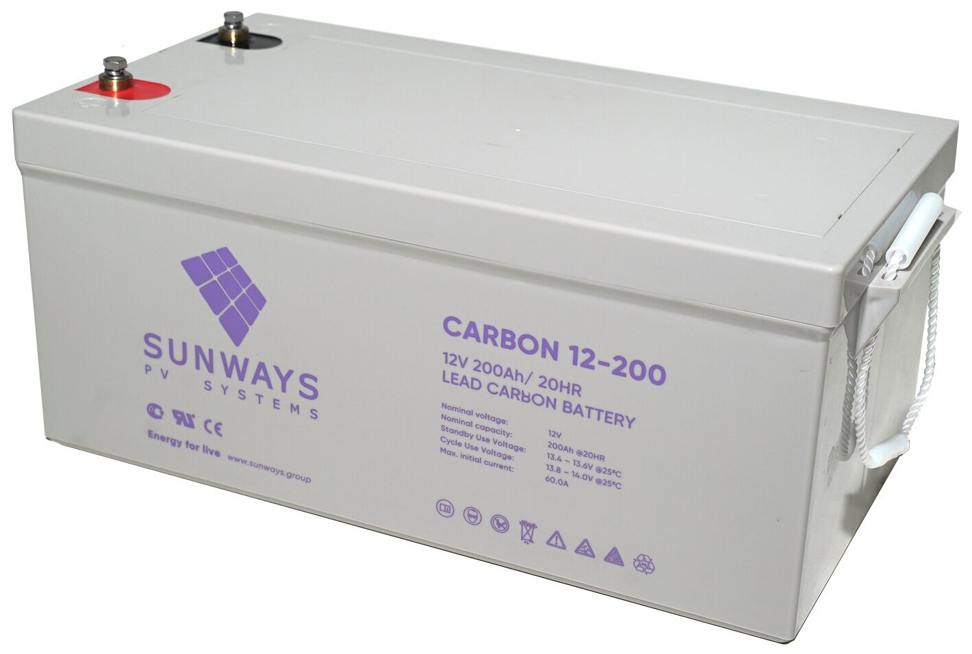 Аккумуляторная батарея Sunways SWB CARBON 200AH