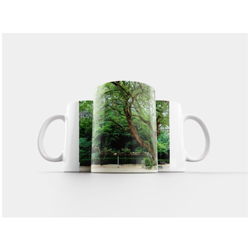 фото Кружка "андонг, досан сеовон, старое дерево" 320 мл lotsprints
