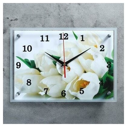 Часы настенные, серия: Цветы,"Тюльпаны", 25х35 см микс Сюжет 3519823 .