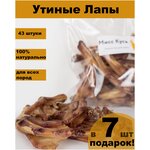 Лакомства для собак, утиные лапки. вкусняшки для питомца - изображение