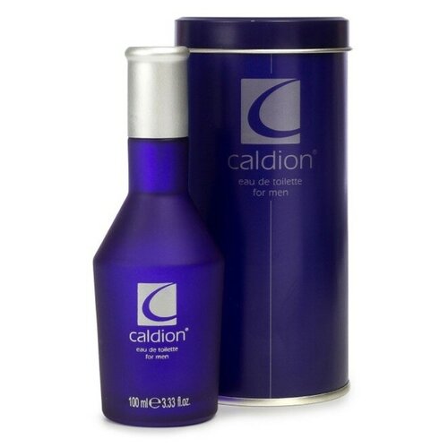 Парфюмерная вода мужская Caldion men, 100 мл