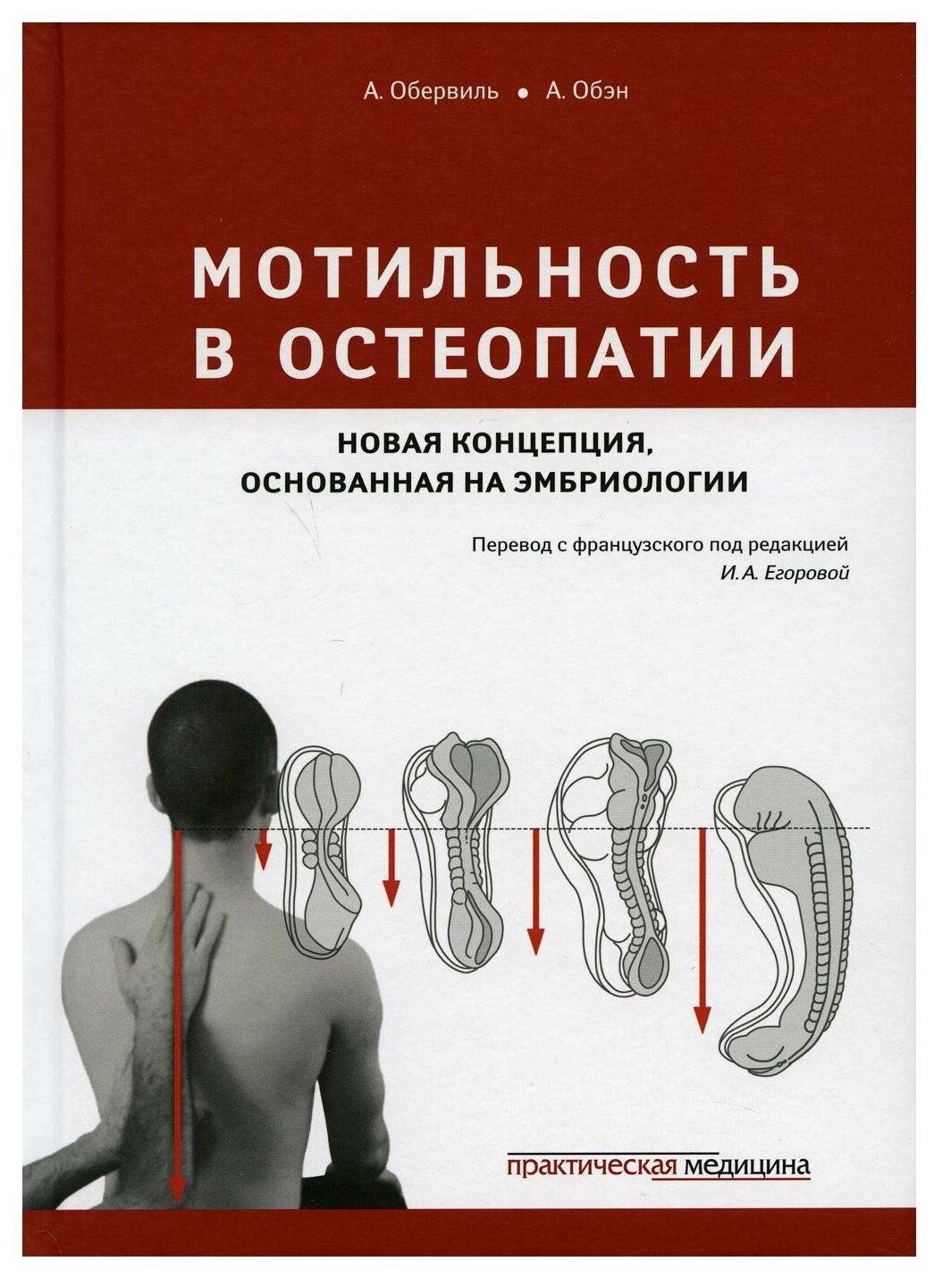 Мотильность в остеопатии. Новая концепция, основанная на эмбриологии - фото №1