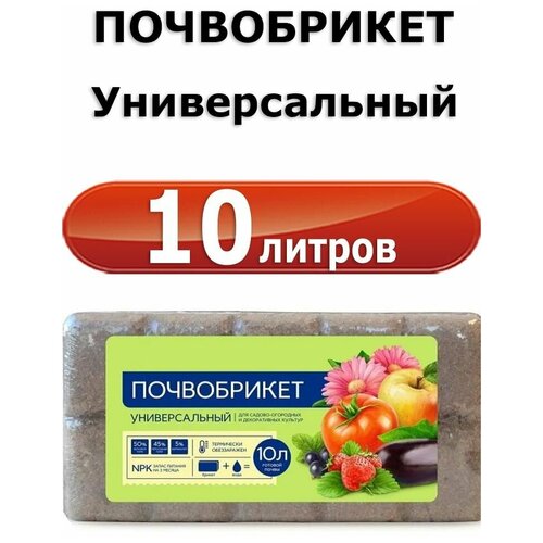 Грунт для выращивания растений Почвобрикет Универсальный, 10л - БиоМастер почвобрикет биомастер универсальный 10л набор из 3 шт