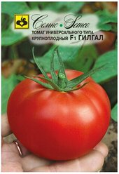 Семена томат Гилгал F1, 5 шт., Семко, 2 упаковки