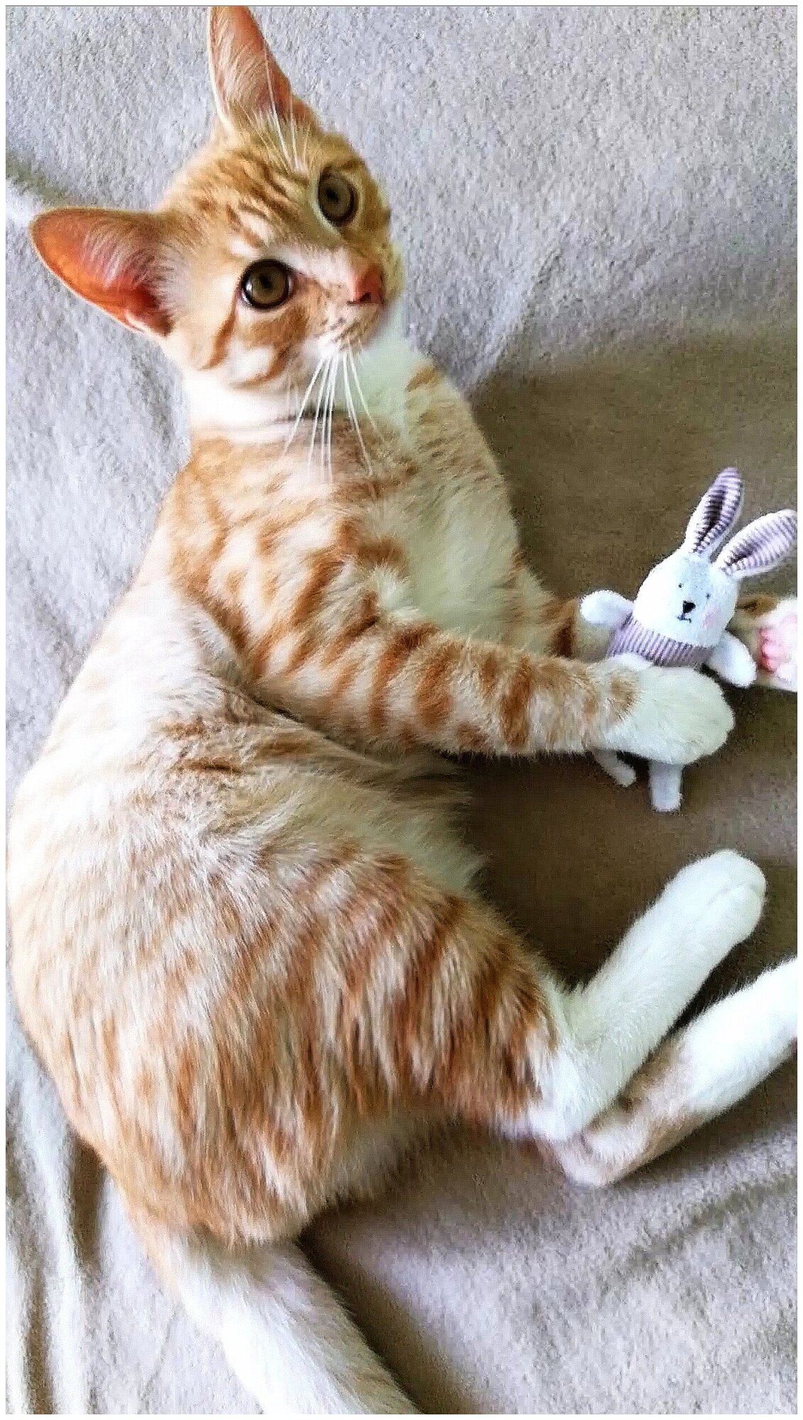 Игрушка для кошек Антейка Зайка "Лён" с кошачьей мятой - фотография № 11