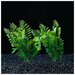 Набор растений искусственных для аквариума (2 шт), 15,5 см