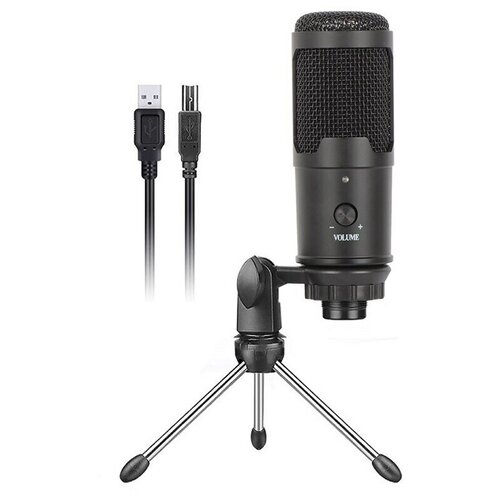 Микрофон конденсаторный DLDZ E105 черный 159000₽