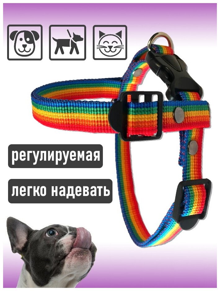 Шлейка для собак Petsare обхват груди 28-40 см, разноцветный - фотография № 3