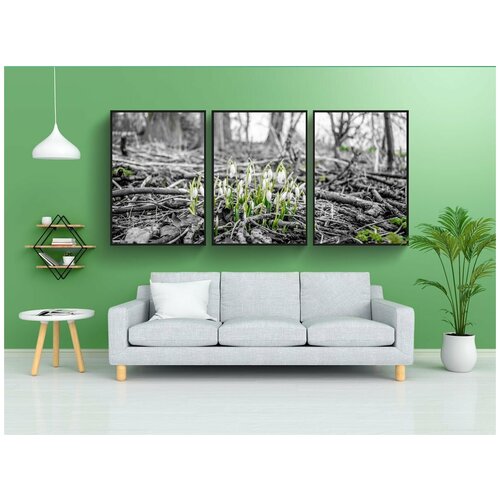 фото Набор модулных постеров для интерьера "цветы, растущий, зима" 60x90 см. в тубусе, без рамки lotsprints