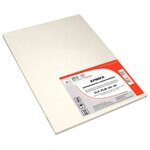 Самоклеящаяся бумага ELP A4, 50 листов, белая, матовая, неделенная, универсальная, 70 г/м2, для этикеток (ELP-PLM-A4-50) - изображение
