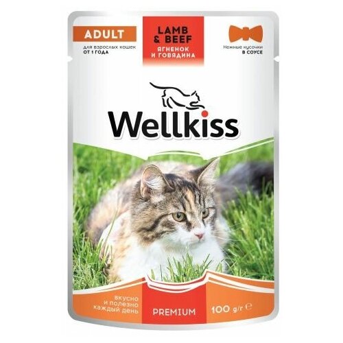 Wellkiss Adult влажный корм для взрослых кошек, с ягненком и говядиной в соусе, 100 г, 14 шт