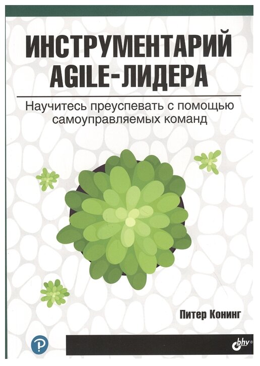 Инструментарий agile-лидера. Научитесь преуспевать с помощью самоуправляемых команд - фото №1