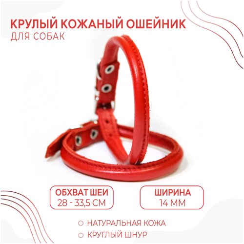 Круглый кожаный ошейник (обхват шеи 28-33,5 см.)для маленьких пород собак с пушистой шерстью / Красный