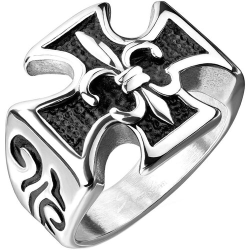 Кольцо DG Jewelry перстень spikes размер 13 сша россия 22 5 мужской r q8031 с геральдический лилией