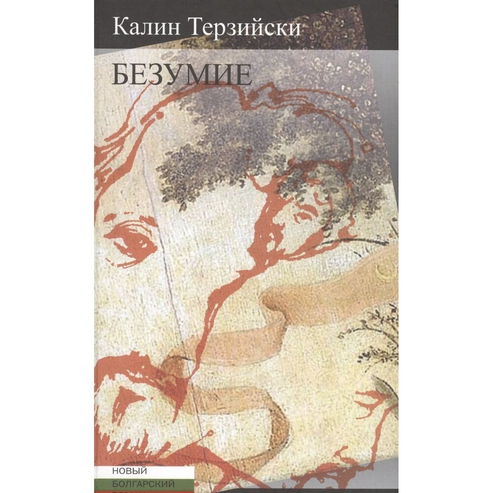 Книга Центр книги Рудомино Безумие. 2016 год, Терзийски К.