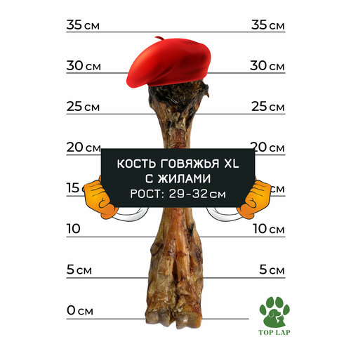 Говяжья нога из двух костей с жилами для собак