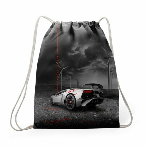 Мешок для обуви 435 х 360 мм Stavia плотность 600D с водоотталкивающей ПУ-пропиткой Машина 1032₽