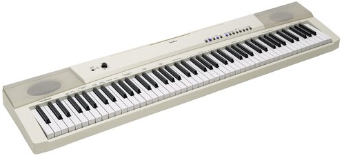 Стоит ли покупать Цифровое пианино Tesler KB-8850? Отзывы на Яндекс Маркете