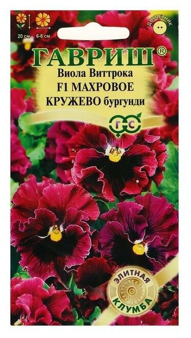 Семена цветов Виола "Махровое кружево", 5 шт.