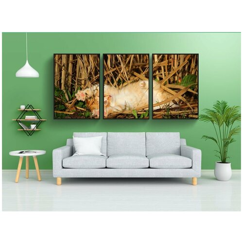 фото Набор модулных постеров для интерьера "котенок, кот, кошка ребенок" 60x90 см. в тубусе, без рамки lotsprints