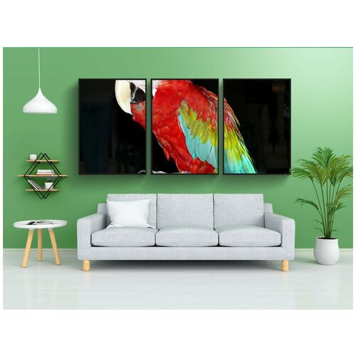 фото Набор модулных постеров для интерьера "попугай, птица, животное" 60x90 см. в тубусе, без рамки lotsprints