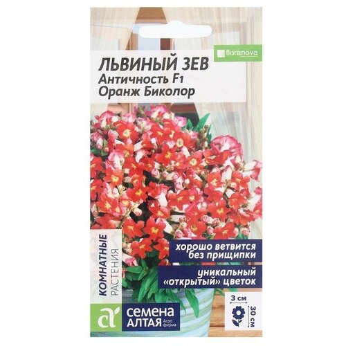 семена цветов львиный зев античность оранж биколор сем алт ц п 10 шт семена алтая Семена цветов Львиный зев Античность, оранж биколор, Сем Алт, ц/п, 10 шт 2 шт