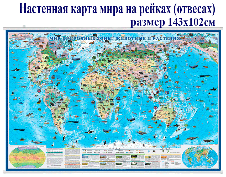 Атлас-принт Природные зоны мира, животные растения-настенная карта 1:26 размер 143х102см/ на рейках