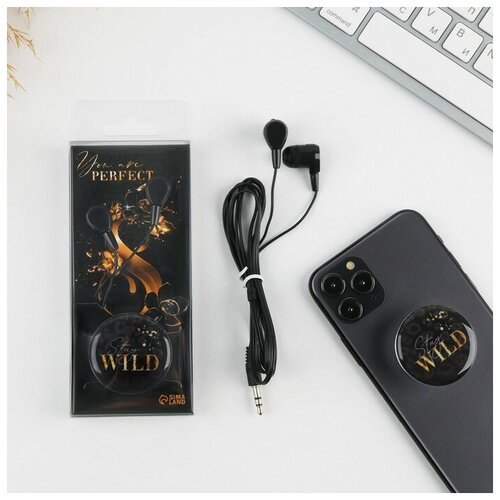 Набор наушники и держатель Stay wild модель VBT 128 135x6 см 34500₽