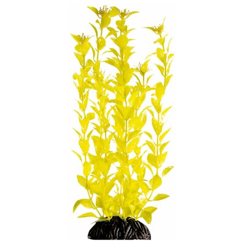 Растение Людвигия ярко-желтая, 400мм, 2 шт.