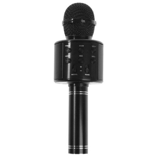Системы караоке Belsis Микрофон для караоке Belsis MA3001BE, Bluetooth, FM, microSD, чёрный