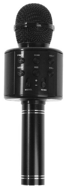 Микрофон для караоке Belsis MA3001BE, Bluetooth, FM, microSD, чёрный