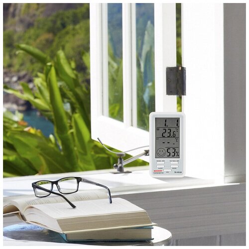 Rexant Метеостанция комнатно-уличная REXANT 100600₽