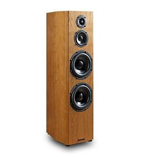 Bryston MODEL T MIDDLE пара 45000000₽