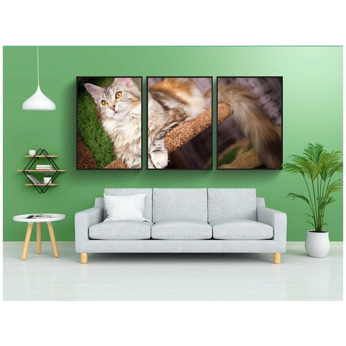 фото Набор модулных постеров для интерьера "кошка, пушистая кошка, домашнее животное" 60x90 см. в тубусе, без рамки lotsprints
