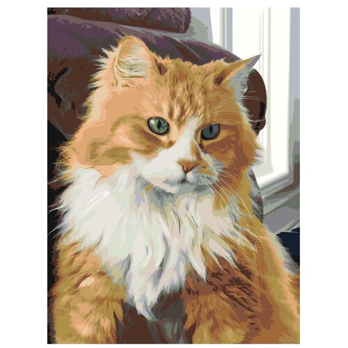 Картина по номерам, Живопись по номерам, 75 x 100, ets489v2-3040, кот, рыжий, котёнок, животное, домашний, питомец, пушистый, окно, диван, портрет