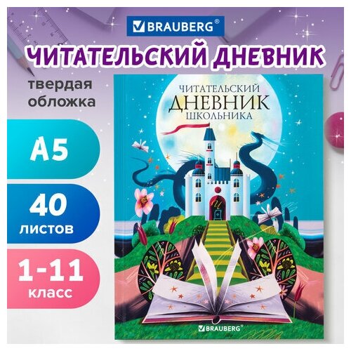 Дневник читательский А5 40л. твердый глянцевая ламинация цветной блок BRAUBERG Замок, 5 шт