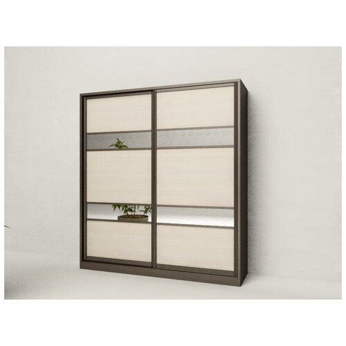 Шкаф-купе Модерн 3