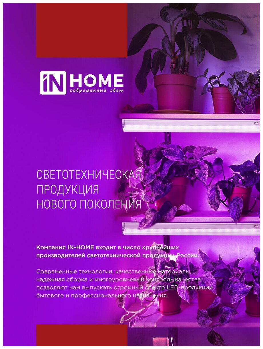 Светильник для растений светодиодный СПБ-Т5-ФИТО 230B IN HOME