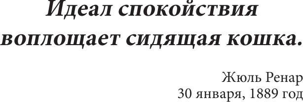 Кототерапия. Раскраска-антистресс для взрослых - фото №4