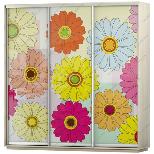 Шкаф-купе Фортуна корпус Байкал Трио 2 с фотопечатью