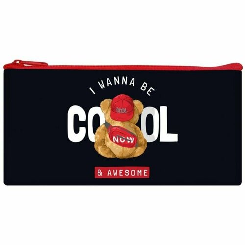 Пенал мягкий 1 отделение, 120 х 220 мм, плоский, ПМП 17 20, Be cool, 70416