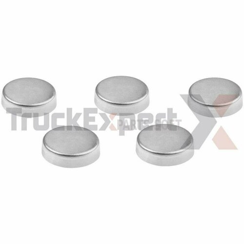 TRUCKEXPERT 34601579 Ремкомплект суппорта| крышки D=40, H=11, 5шт \Knorr SN6/SN7