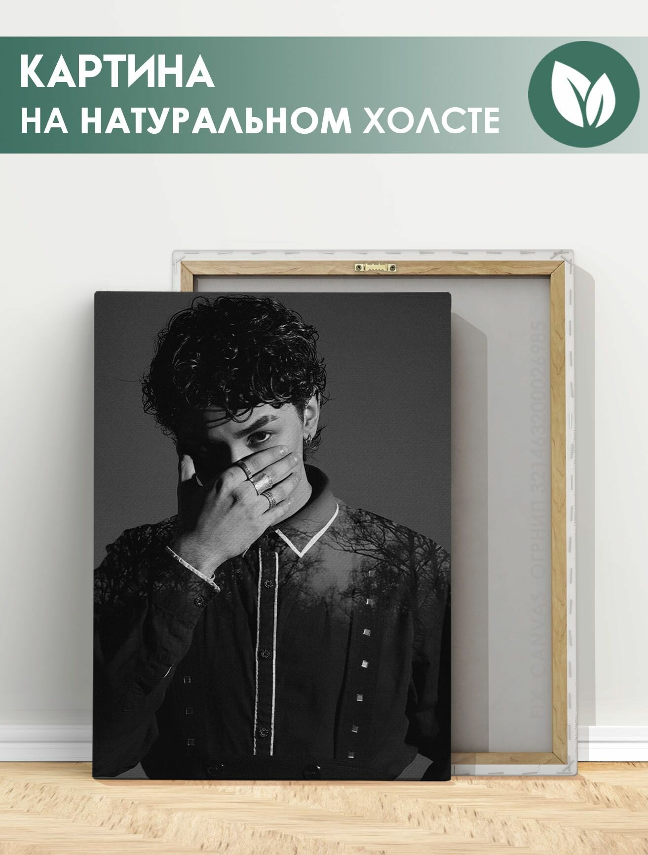 Картина для интерьера на стену - Амирчик Amirchik, певец (3) 20х30 см