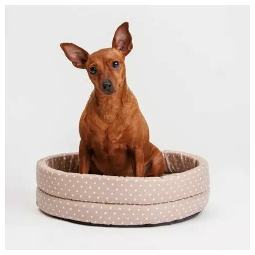 Pet Hobby Лежак круглый поплин 40х40х12 см бежевый 1955₽