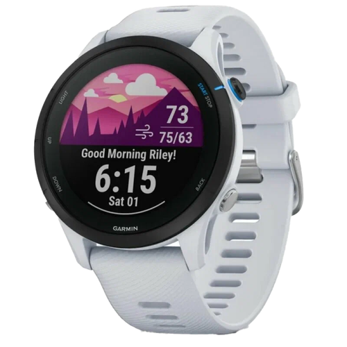 Garmin Умные часы Garmin Epix Gen 2 белый 010-02582-21 10299000₽