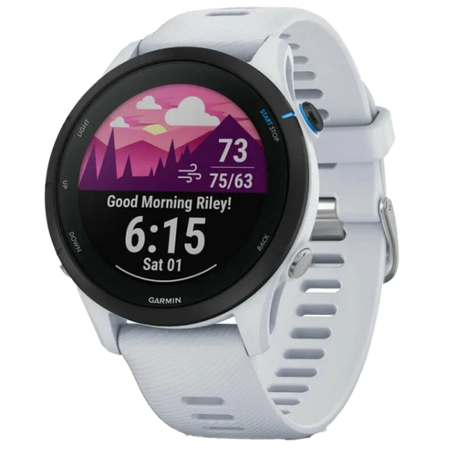 Garmin Умные часы Garmin Epix Gen 2, белый (010-02582-21)